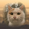 Pavlo